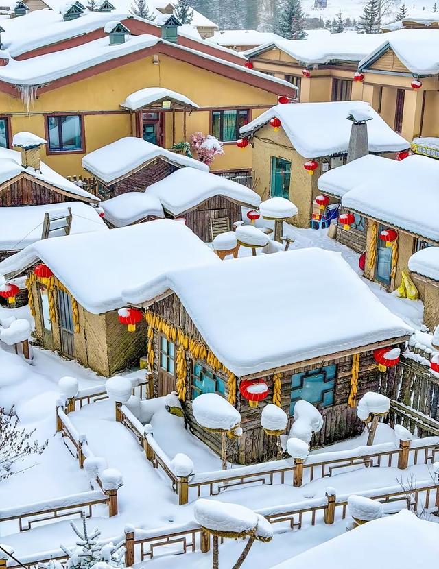 马年，冬天你去哈尔滨吗？