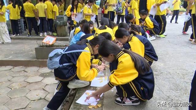 广东韶关南雄帽子峰银杏黄了！银杏染秋“圈粉”大湾区