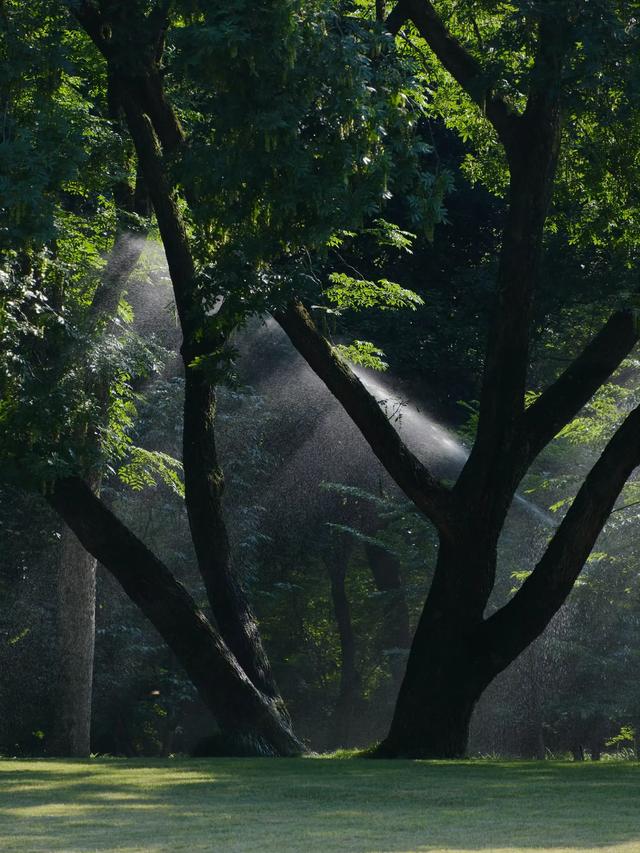 人类为何迷恋万物 ​