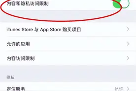苹果 iPhone15 Pro如何设置应用加密？图片