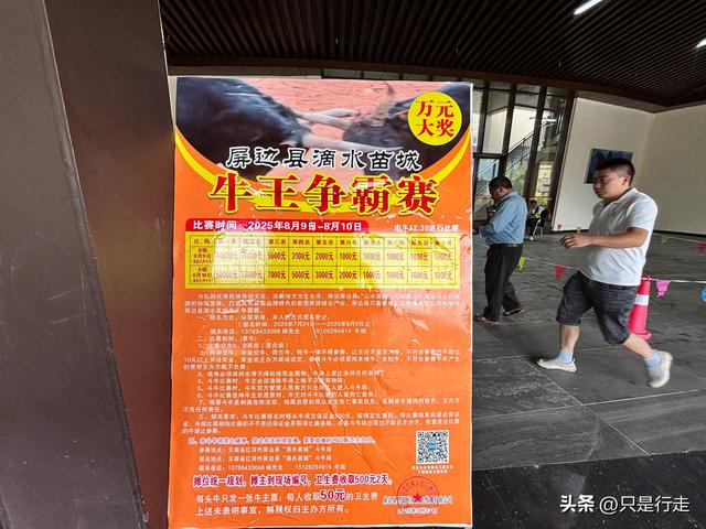 云南弥勒避暑旅游生活记录（一）