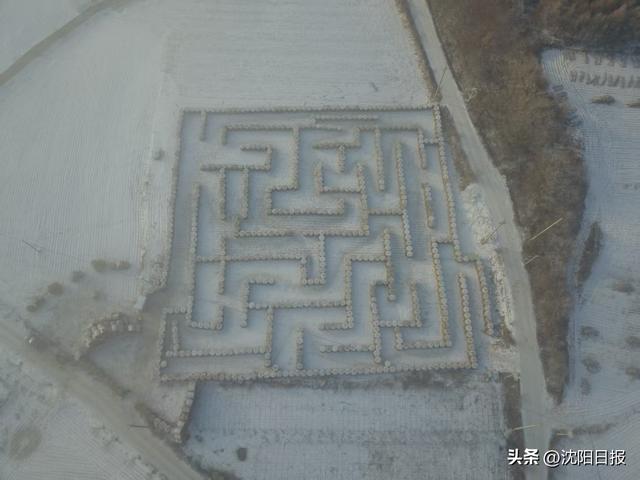 沈阳魏家沟“草滚迷宫”火了！日均千人打卡，玩累再吃铁锅炖大鹅
