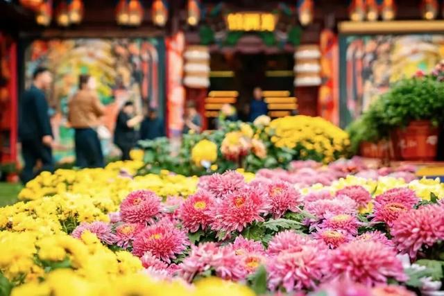 开封“暖冬三件套”，你GET了吗？