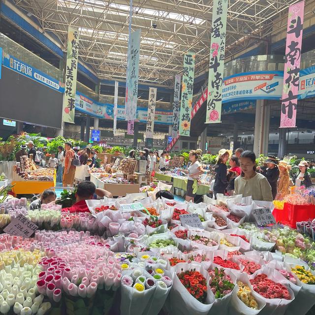 重庆-昆明-弥勒周末特种兵攻略：景点篇