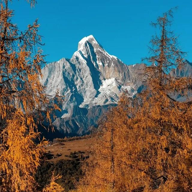 四姑娘山彩林蓄势待发，这份秋日浪漫太让人期待！