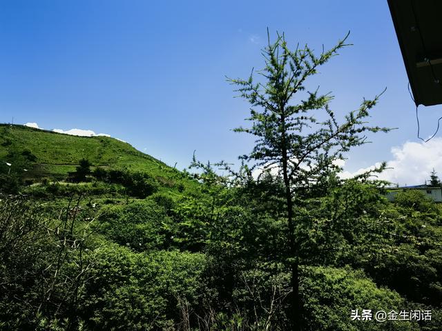 陇南武都千坝观奇