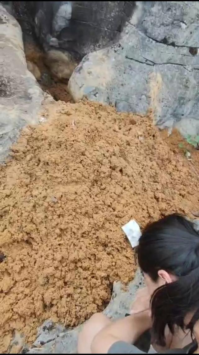 贵州49岁女子务农遭杀害被抛尸于石缝，被害人儿子：嫌犯装作无事发生来我家吃饭！二审判死缓，家属申请再审