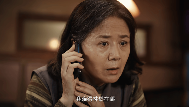 《利剑玫瑰》演员演技如何