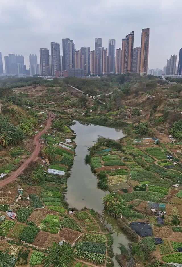 五象湖「最强景观」火了,公告成了废纸