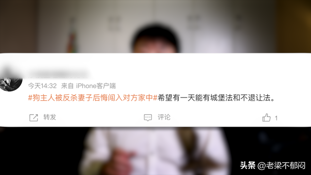 刺死入户狗主是否正当防卫？起诉书提法与家属陈述有冲突