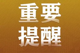 要出行的人速看！车辆离岛购票信息大全来了→图片