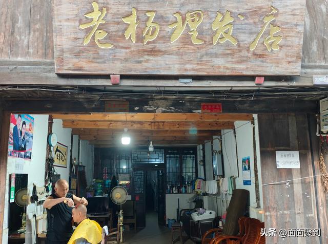 在川西最沉默的古镇，与千年榕树共饮