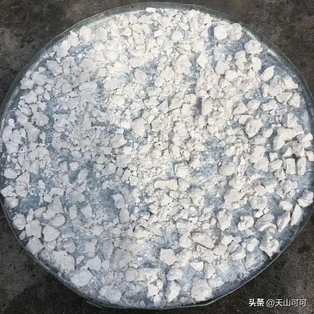 木薯淀粉是什么东西？揭秘这种神秘成分！