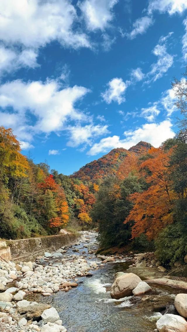 我竟然发现，唐家河红叶居然如此好看！