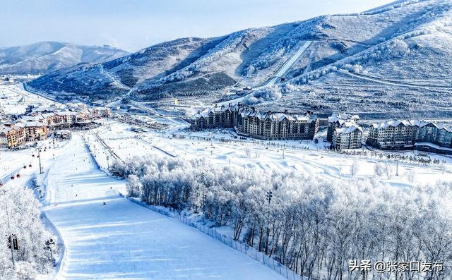 崇礼雾凇 美到极致