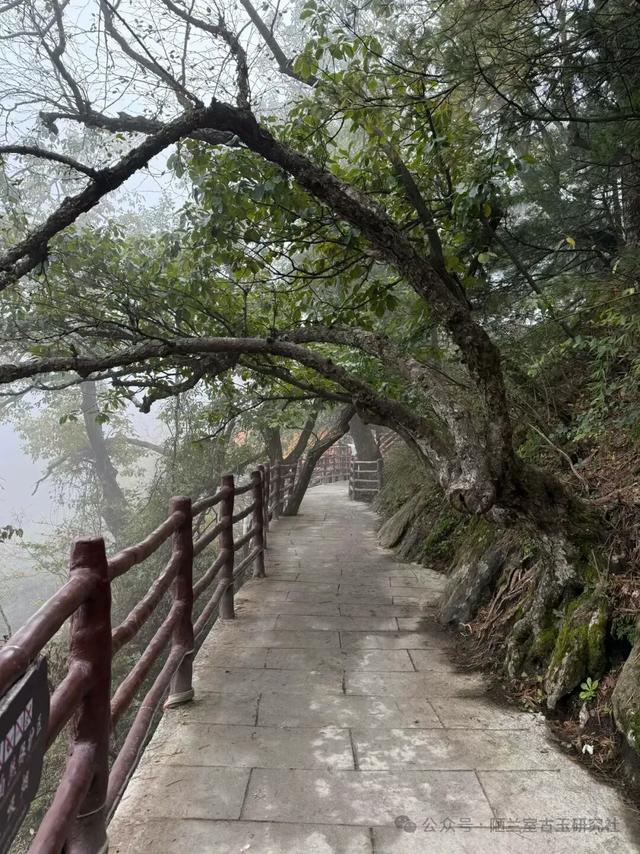 旅游热门城市,卖古董不适合买(一百七十六章·洛阳市)