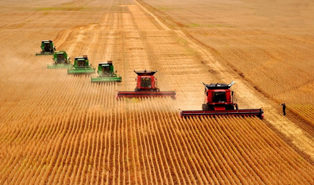 蓄意报复?巴西大豆疯涨80%，被中方下达逐客令，巴急查中国无纺布