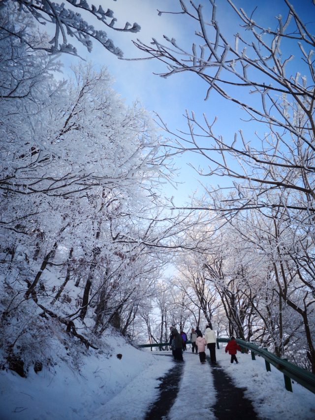 又来？这样的随州，你见没见过？