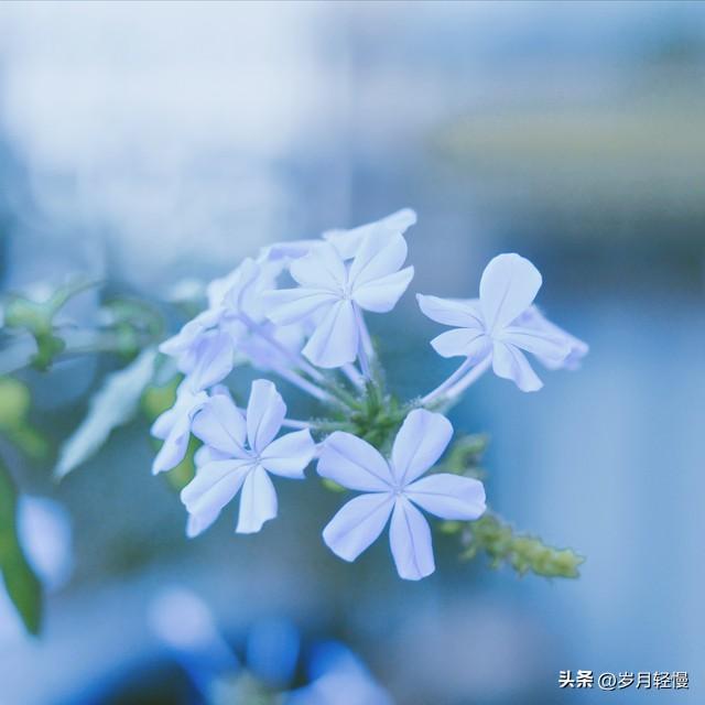 写在2025.12.31最后时刻