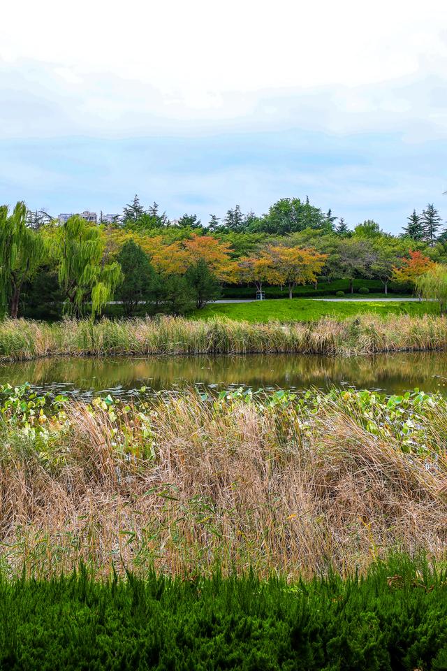 浞景无边，快乐亦无边~