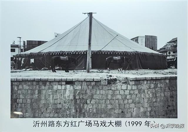 读城记丨沂州路 ：我心归处是沂州
