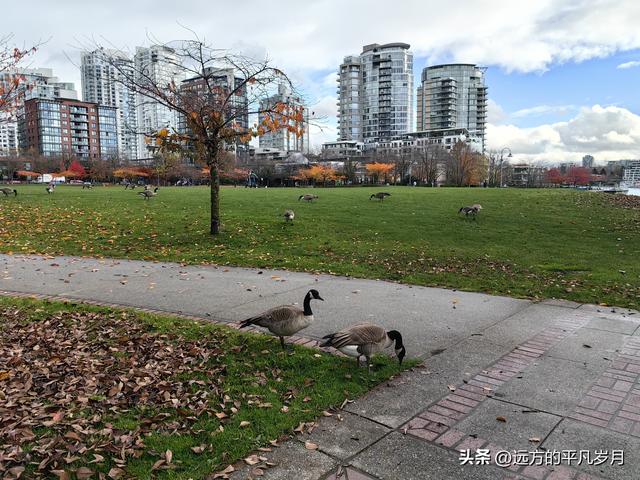 温哥华游记（六）