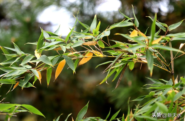 清水：初冬初临秋韵在湖光山色惹人醉