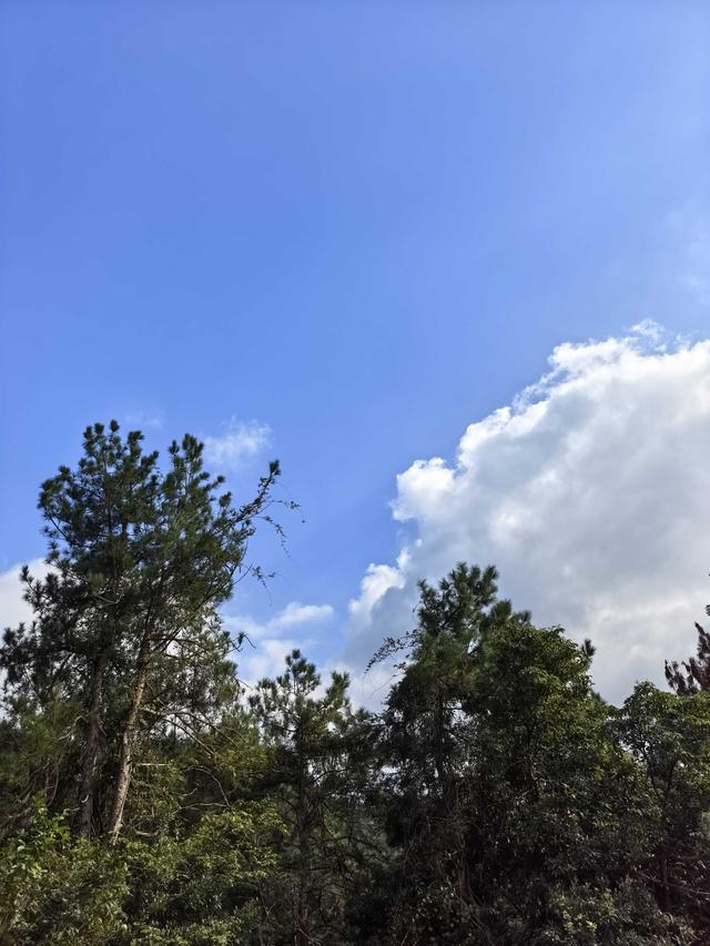 霜降时节，柿林村徒步