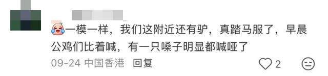 阻止我去巴厘岛旅游的唯一理由: