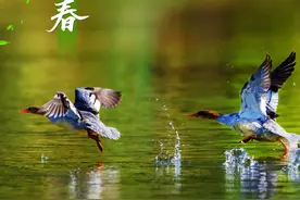 早啊！新闻来了〔2025.3.28〕图片