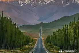 《悟真篇》修真的“金丹”图片