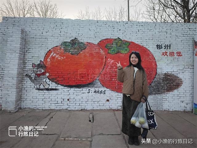 今冬顶流！陕西这片柿子林爆火出圈，美到封神！攻略来啦
