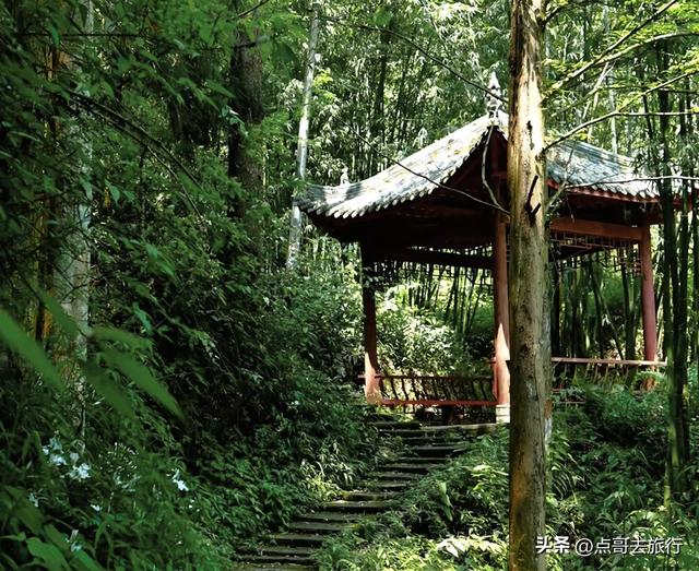 成都清凉景区秘境，最原始的古道观，像是无人知道一样，不要门票