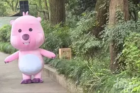 杭州街头突然出现一只小可爱，围观群众点赞：情绪价值拉满了图片