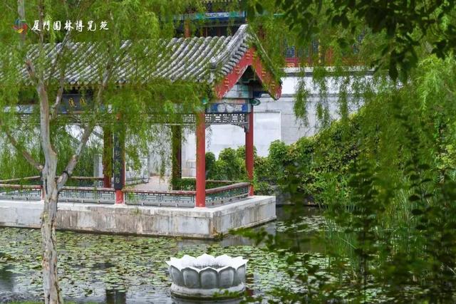 水帘飞泻、喷泉奏乐！厦门清凉“水上秘境”，周末走起→