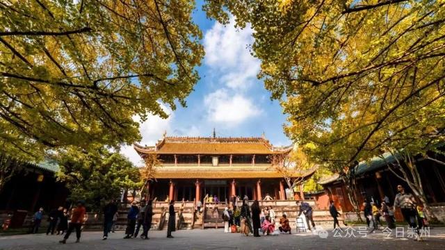 秋假去哪？崇州这些亲子游宝藏地不容错过