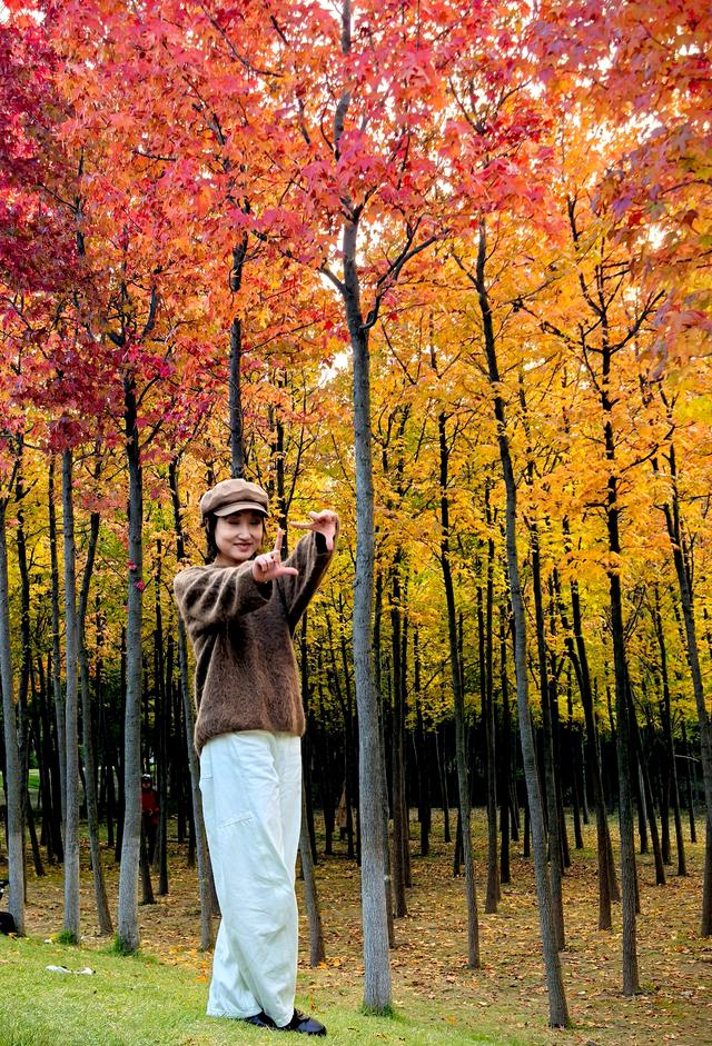 一眼沦陷！快去这片枫林秘境打卡最美秋天