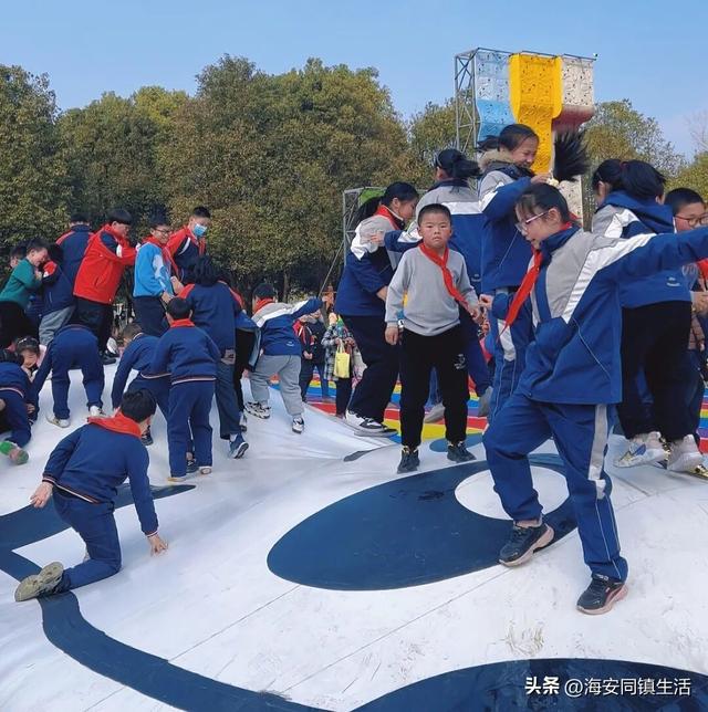 2025年海安云上森林超大规模网红粉黛花海+花海鹿群