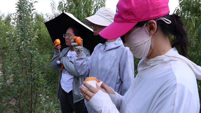 远离城市热浪！金昌这两处宝藏地，藏着最甜的亲子时光与山野浪漫