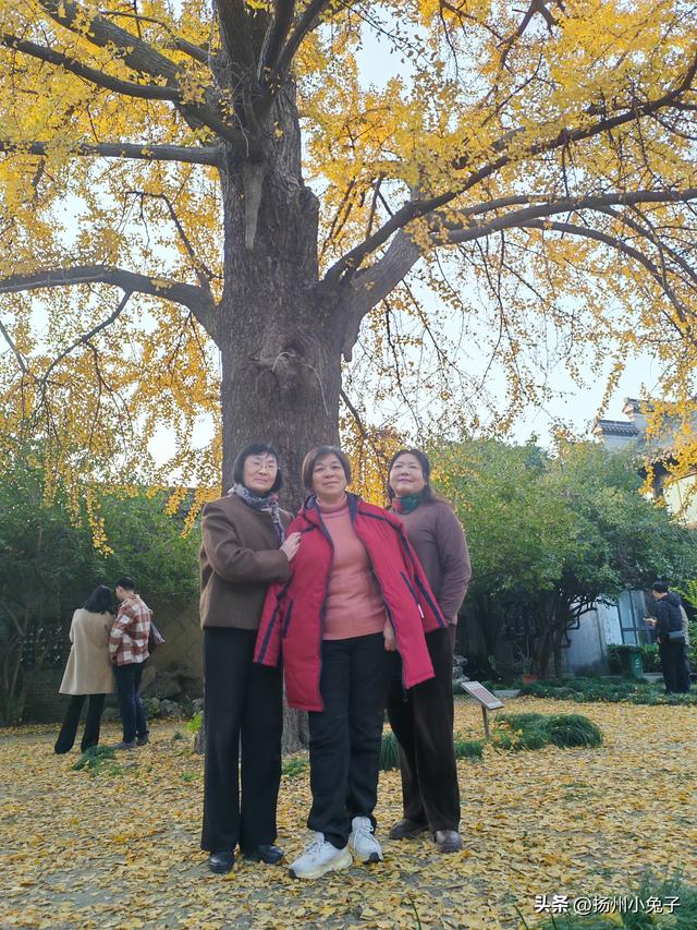 一日逛了几座寺庙，只为欣赏冬日璀璨的美