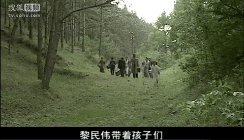 黎姿的珠光宝气，黎宣的绿叶人生：传奇电影世家的香江旧梦（上）