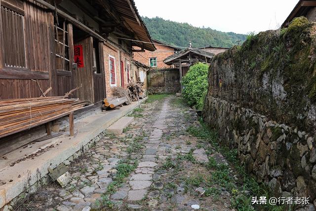 走遍福建古村落，宁德八都福口村，百年古民居都是豪华大宅