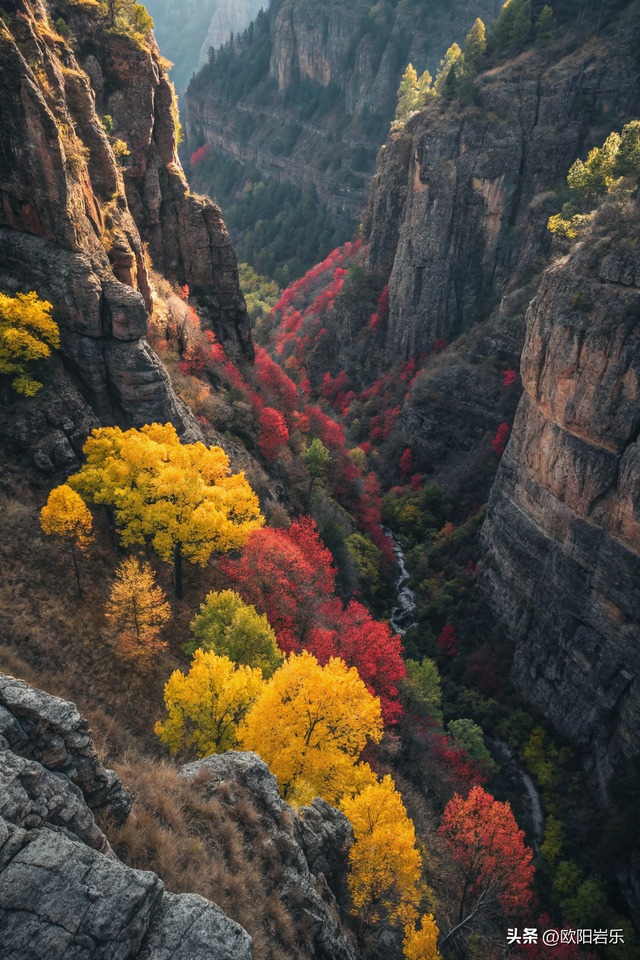 这才叫风景如画，太美了！