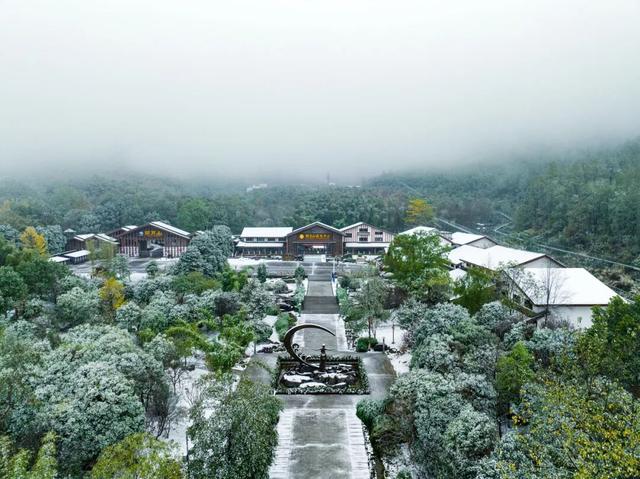 明月山惊现冰瀑雾凇，已经开始期待下雪了！