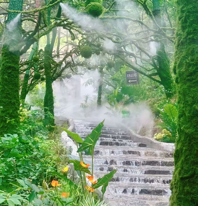 入伏玩水超爽！临沂的清凉戏水地等你打卡