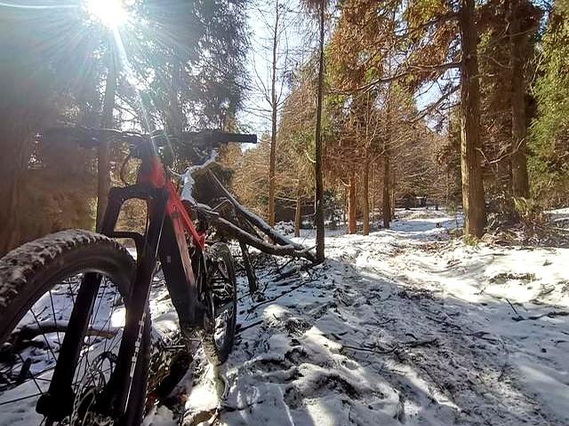 50+骑行族必看！冬季骑行不仅抗寒还能飙速，专家拆解4大核心逻辑
