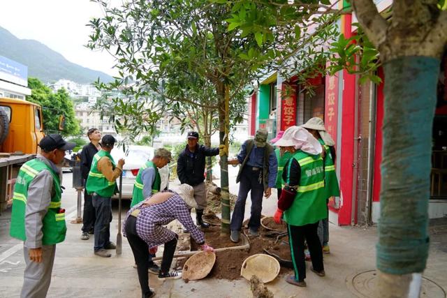 大理“金色童话”背后藏“秘密”