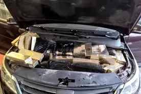 500条​芙蓉王、中华、荷花……都是假的！图片