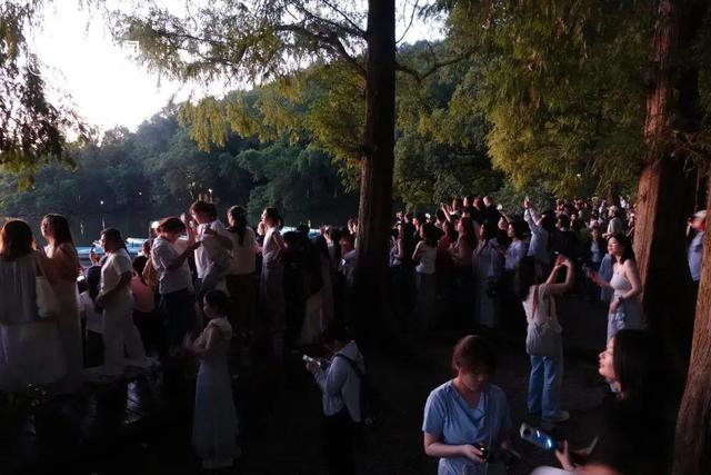 凌晨4点，西湖全是人人人！有人连夜从上海赶来！“这辈子总得看一回”