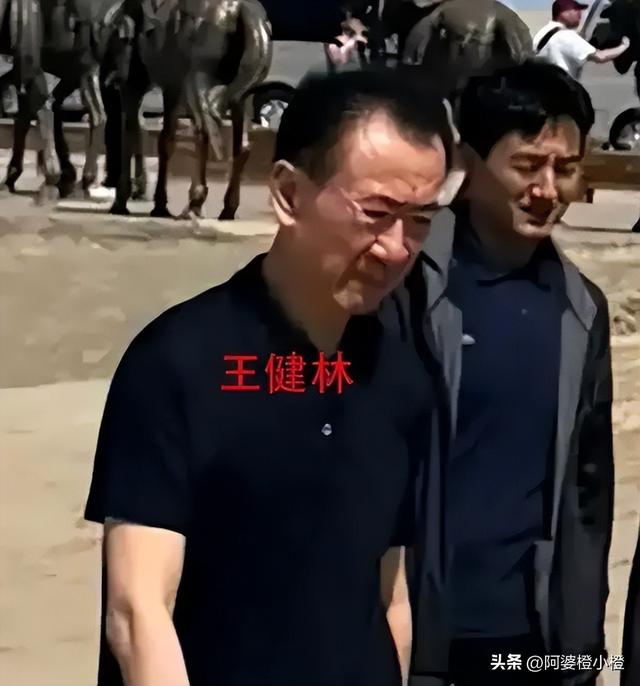 71岁王健林现身新疆，瘦成皮包骨，儿子王思聪本性难改又换新女友